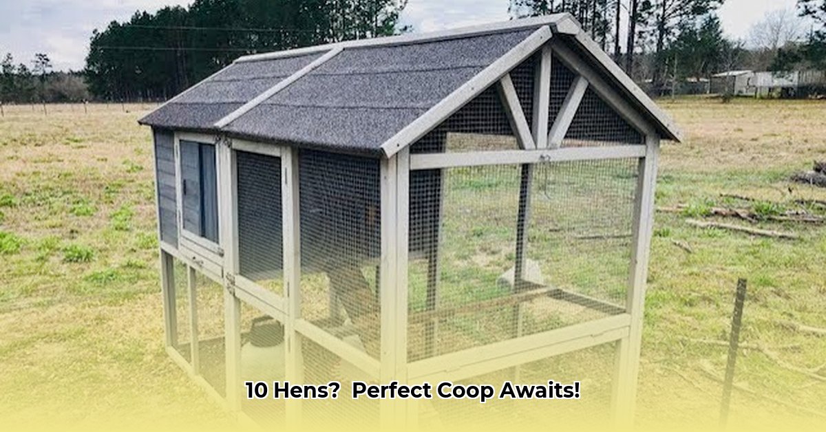 chicken-coop-for-10-chickens-tractor-supply